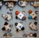 dining overview, cafeteria, people eating