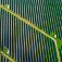 solar plant