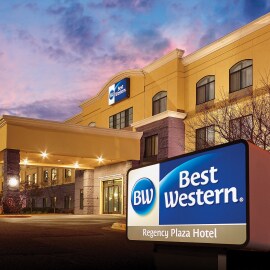 Vinis Translúcidos Coloridos 3M™