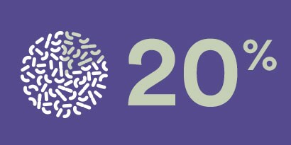 20%
