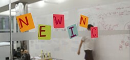Revestimentos Decorativos 2